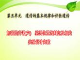 2022年高考生物复习：加强提升课件(六)基因位置的判定及相关实验设计突破(含解析)