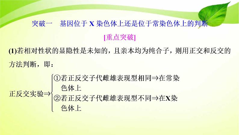 2022年高考生物复习：加强提升课件(六)基因位置的判定及相关实验设计突破(含解析)第2页