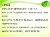 2022年高考生物复习：加强提升课件(三)辨析“三率”及“三率”测定的5种实验模型(含解析)