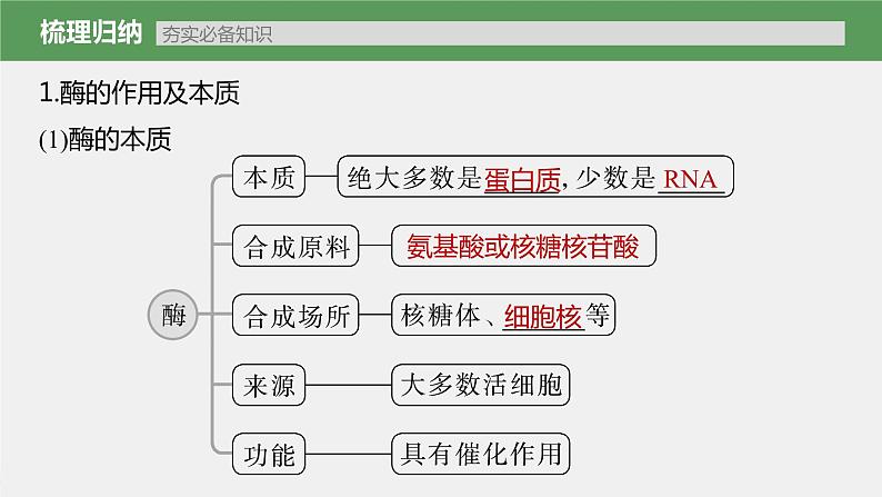 (新高考)2023年高考生物一轮复习课件第3单元第1课时降低化学反应活化能的酶(含解析)第5页