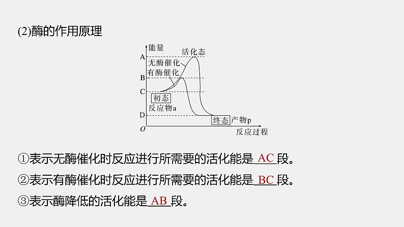 (新高考)2023年高考生物一轮复习课件第3单元第1课时降低化学反应活化能的酶(含解析)第7页