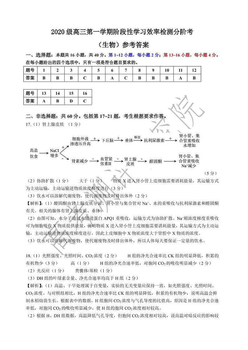 广东省2022-2023学年高三上学期12月阶段性学习效率检测分阶考—生物答案 - 简版第1页