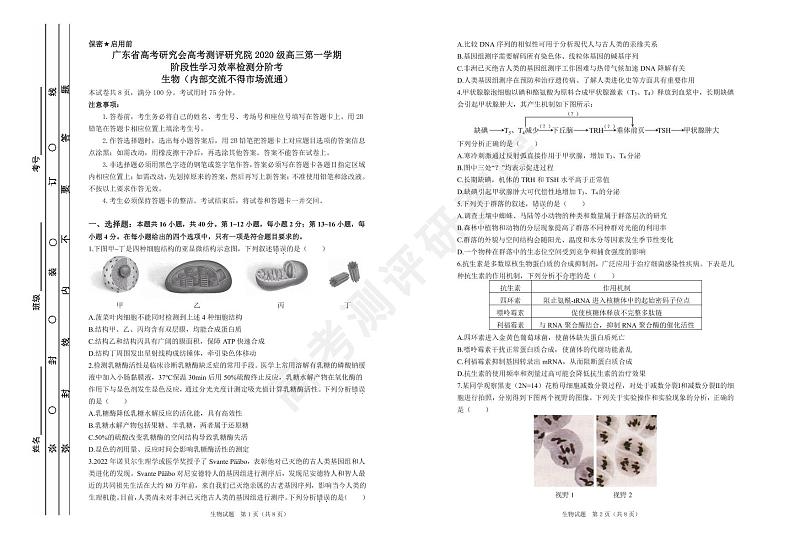 广东省2022-2023学年高三上学期12月阶段性学习效率检测分阶考生物试卷01