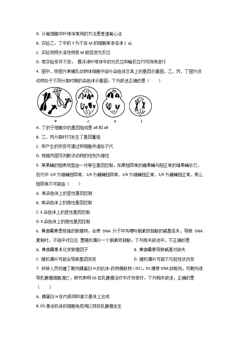 2021-2022学年湖南省长沙市宁乡市高二下学期期末考试考试生物试题含答案02
