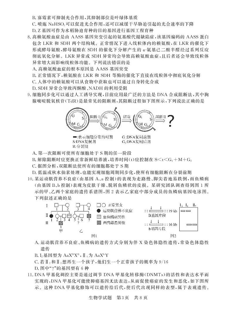 八省八校2023届高三第一次学业质量评价（T8联考）生物 试卷03