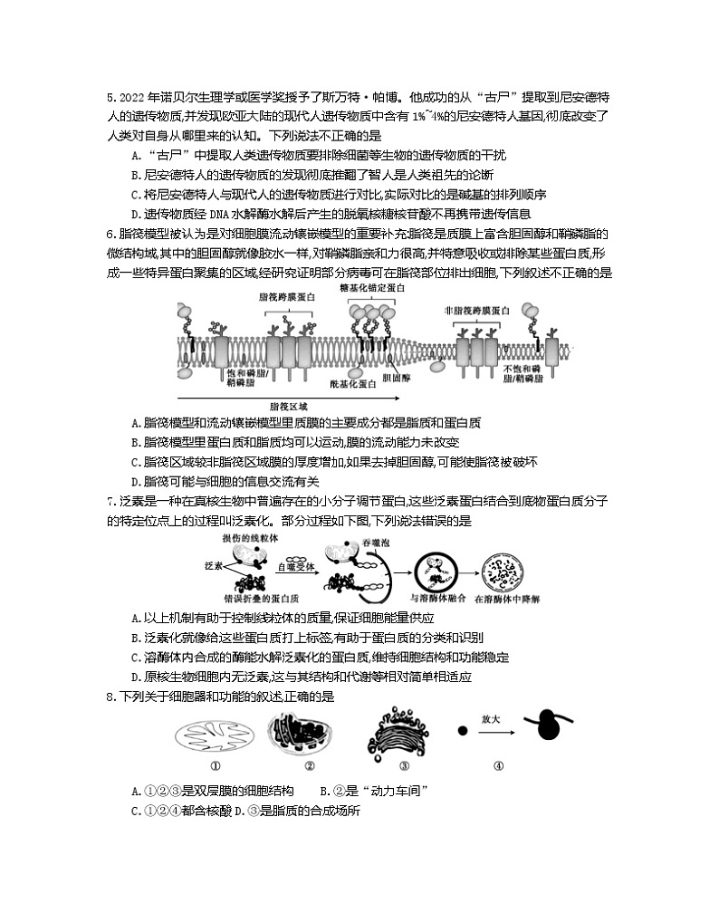 江苏省百校联考2022-2023学年高一上学期12月份阶段检测生物试题第2页