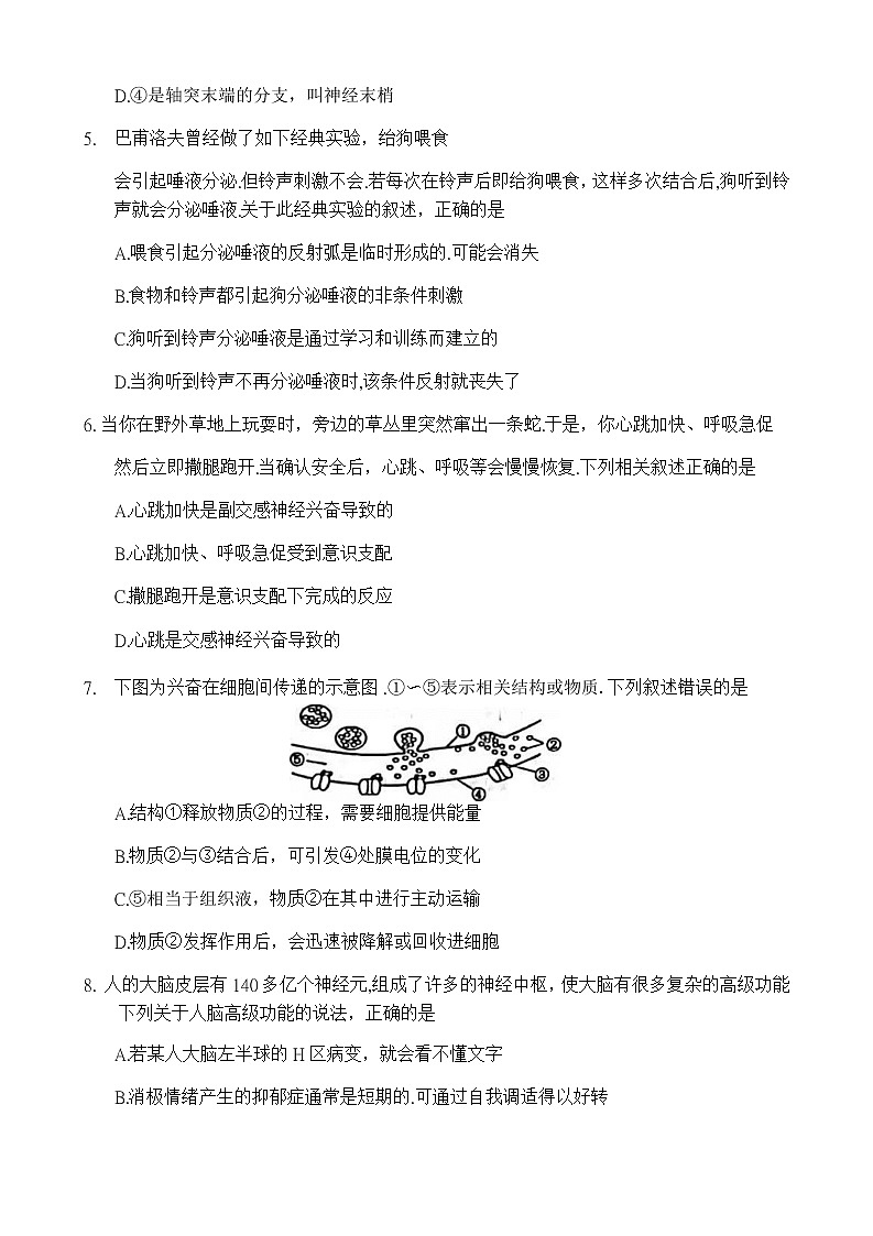 2022-2023学年河南省洛阳市高二上学期期中考试生物02