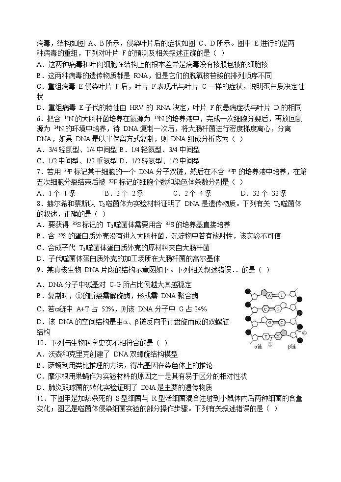 2022-2023学年陕西省西安市长安区第一中学高二上学期期中考试生物（理）Word版含答案第2页