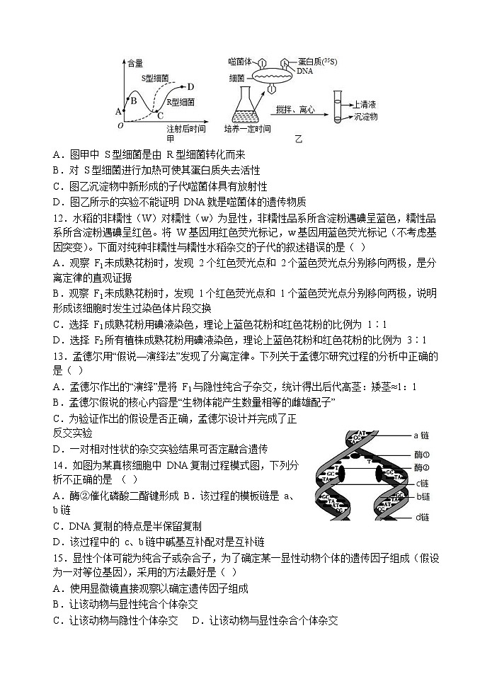 2022-2023学年陕西省西安市长安区第一中学高二上学期期中考试生物（理）Word版含答案第3页