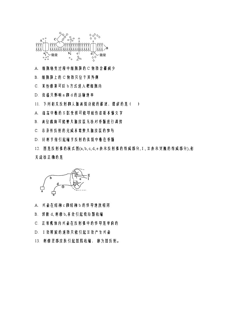 2022-2023学年新疆维吾尔自治区喀什地区伽师县高二上学期11月期中考试生物试题含答案03