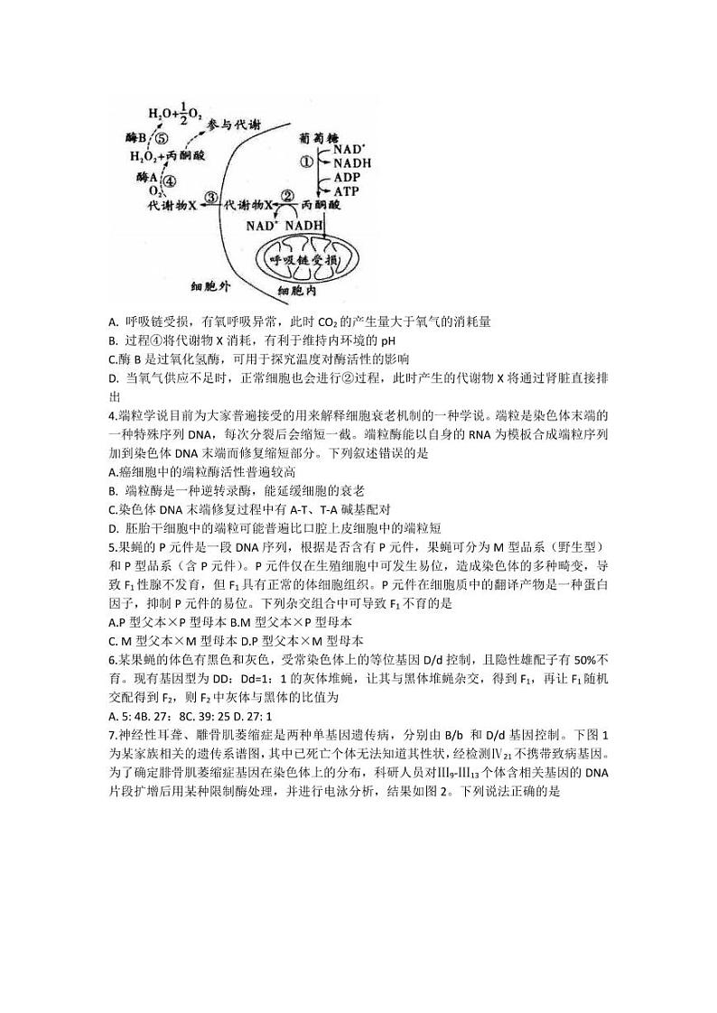 山东中学联盟高三上学期12月百校联考生物试题及答案02