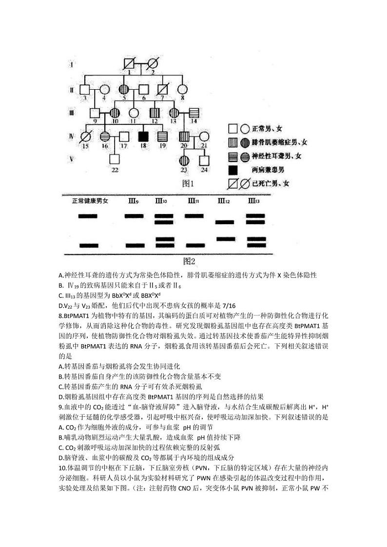 山东中学联盟高三上学期12月百校联考生物试题及答案03