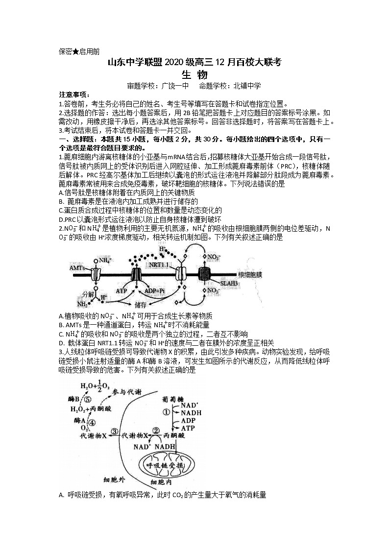 山东省百校联盟大联考（中学联盟）2022-2023学年高三生物12月月考试题（Word版附解析）第1页