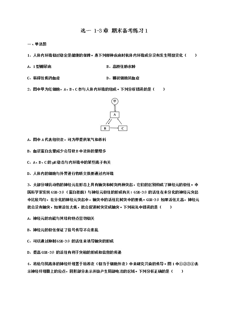 【期末备考练习】人教版(2019)  生物高二期末-期末考试备考练习1 （人教版(2019)选择性必修一 1-3章 ）01