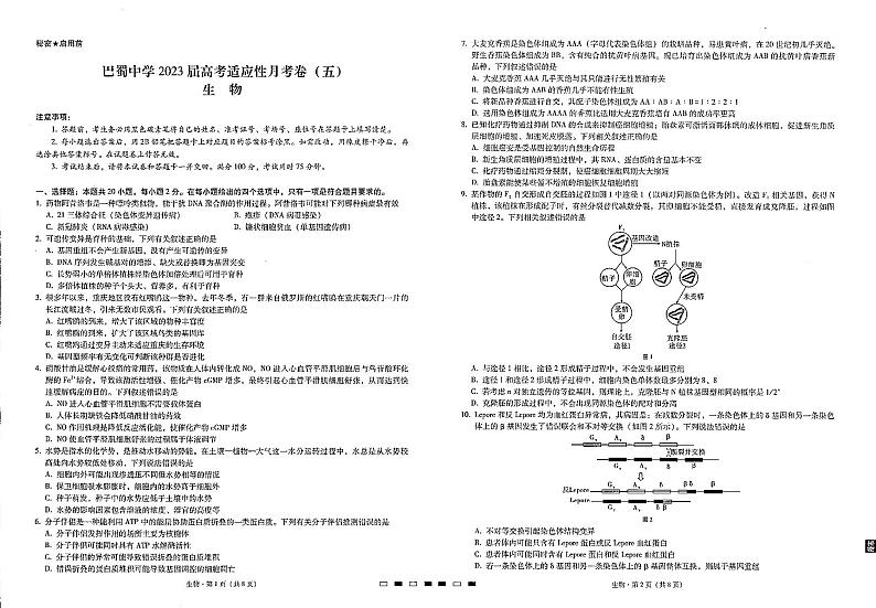重庆巴蜀中学2023届高考生物适应性月考试卷（五）（PDF版附答案）第1页