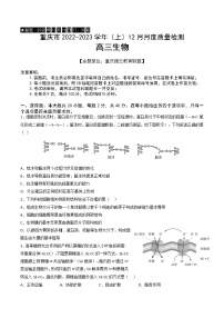 重庆市缙云教育联盟2023届高三生物上学期12月联考试题（Word版附解析）