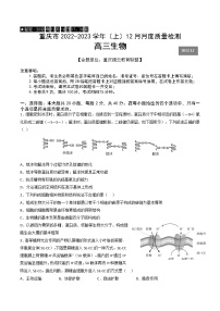 2023重庆市缙云教育联盟高三上学期12月联考生物含答案