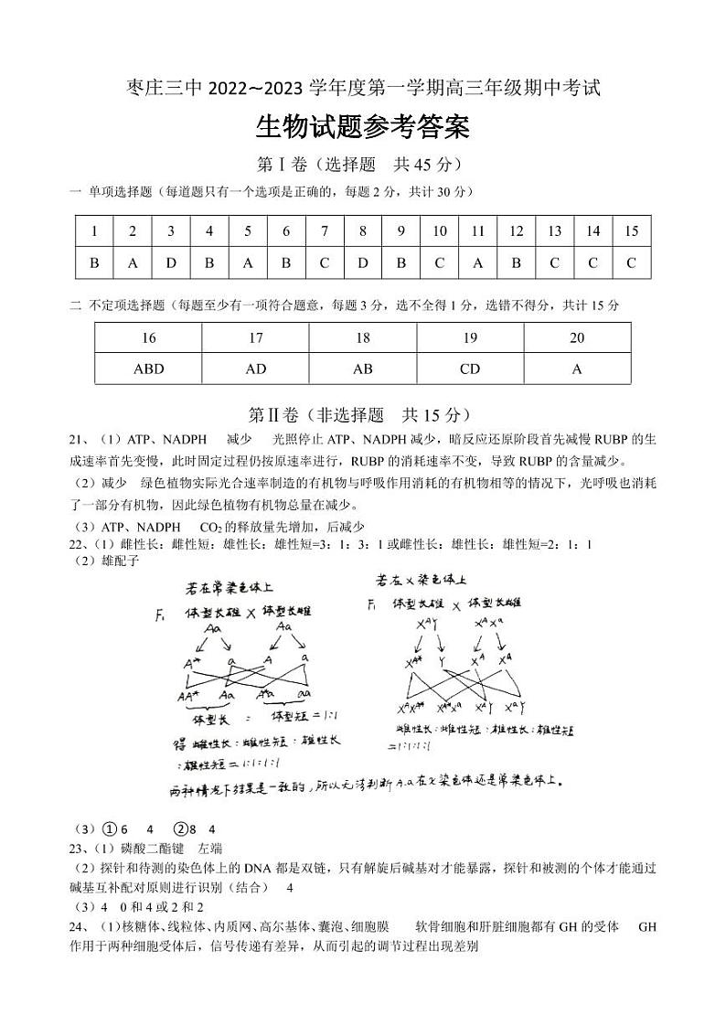 2023枣庄三中高三上学期12月期中考试生物试题pdf版含答案01