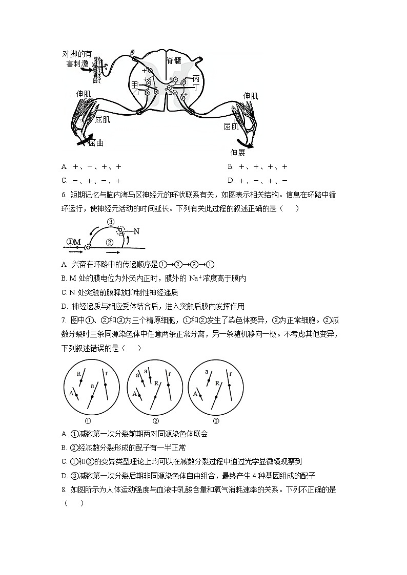 2022济南莱芜凤城高级中学高二上学期期中考试生物试题含解析02