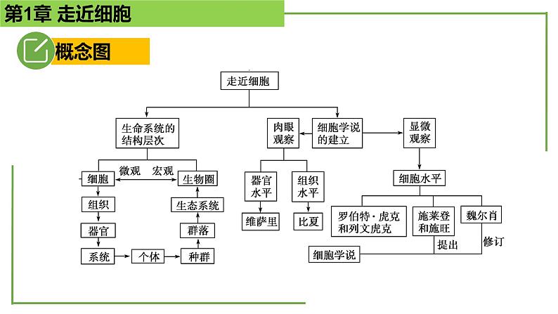 【期末精讲课件】人教版(2019) 生物必修1高一备考复习课件-第1章 走近细胞02