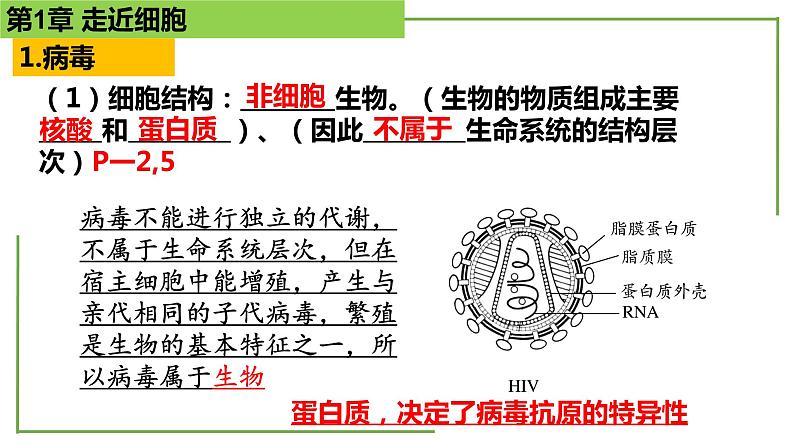 【期末精讲课件】人教版(2019) 生物必修1高一备考复习课件-第1章 走近细胞04