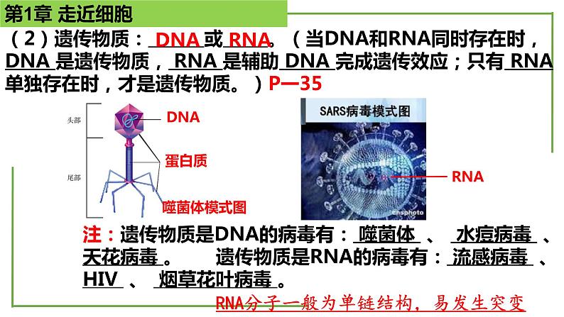 【期末精讲课件】人教版(2019) 生物必修1高一备考复习课件-第1章 走近细胞05