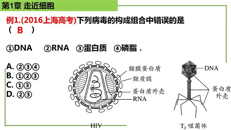 【期末精讲课件】人教版(2019) 生物必修1高一备考复习课件-第1章 走近细胞06