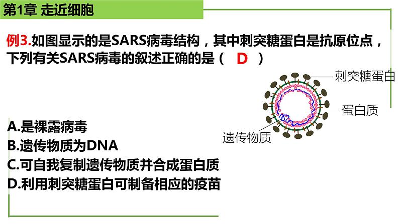 【期末精讲课件】人教版(2019) 生物必修1高一备考复习课件-第1章 走近细胞08