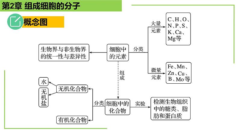 【期末精讲课件】人教版(2019) 生物必修1高一备考复习课件-第2章 组成细胞的分子第2页