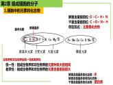 【期末精讲课件】人教版(2019) 生物必修1高一备考复习课件-第2章 组成细胞的分子