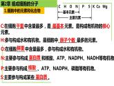 【期末精讲课件】人教版(2019) 生物必修1高一备考复习课件-第2章 组成细胞的分子