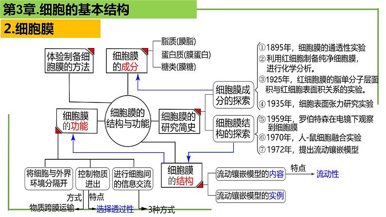 【期末精讲课件】人教版(2019) 生物必修1高一备考复习课件-第3章 细胞的基本结构第5页