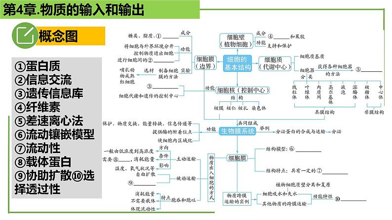 【期末精讲课件】人教版(2019) 生物必修1高一备考复习课件-第4章 细胞的物质输入和输出02
