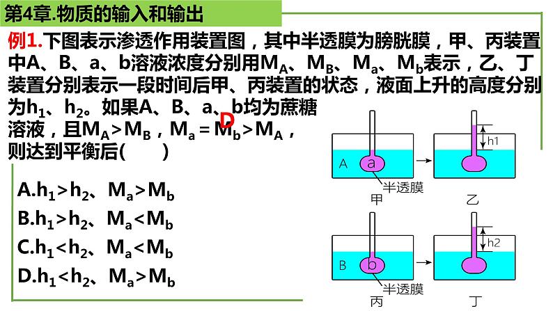 【期末精讲课件】人教版(2019) 生物必修1高一备考复习课件-第4章 细胞的物质输入和输出04