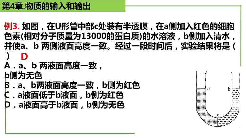 【期末精讲课件】人教版(2019) 生物必修1高一备考复习课件-第4章 细胞的物质输入和输出06