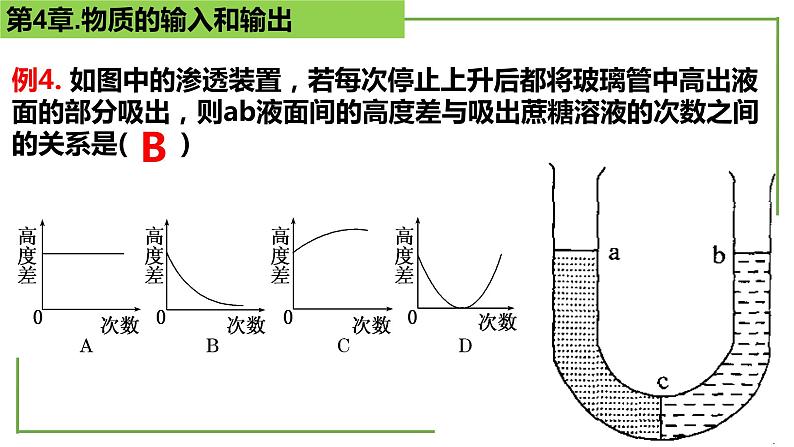 【期末精讲课件】人教版(2019) 生物必修1高一备考复习课件-第4章 细胞的物质输入和输出07