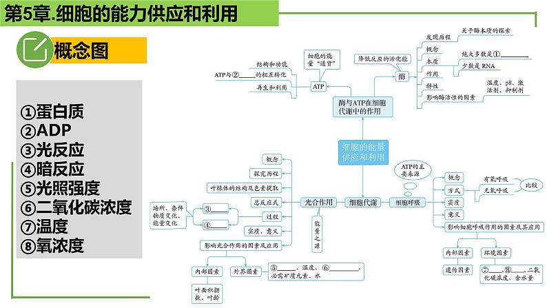 【期末精讲课件】人教版(2019) 生物必修1高一备考复习课件-第5章 细胞的能量供应和利用第2页