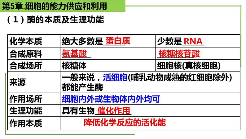 【期末精讲课件】人教版(2019) 生物必修1高一备考复习课件-第5章 细胞的能量供应和利用第4页