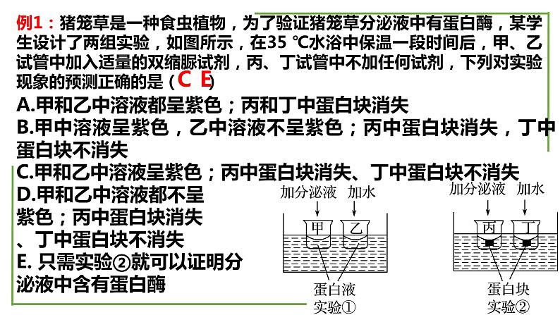 【期末精讲课件】人教版(2019) 生物必修1高一备考复习课件-第5章 细胞的能量供应和利用第5页