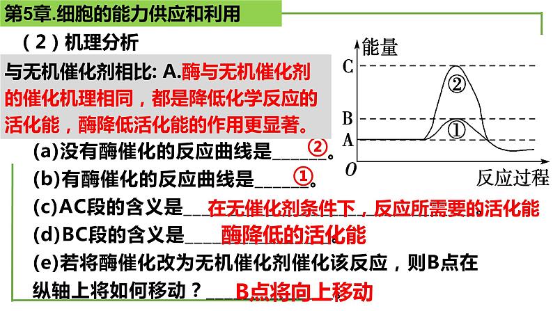 【期末精讲课件】人教版(2019) 生物必修1高一备考复习课件-第5章 细胞的能量供应和利用第6页