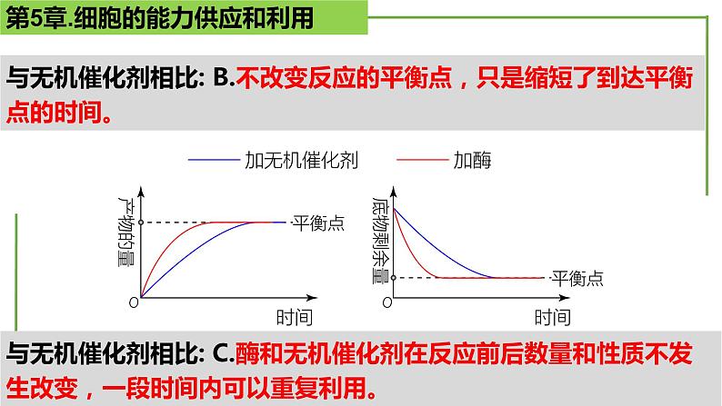 【期末精讲课件】人教版(2019) 生物必修1高一备考复习课件-第5章 细胞的能量供应和利用第7页