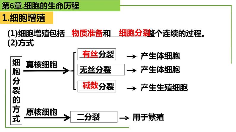 【期末精讲课件】人教版(2019) 生物必修1高一备考复习课件-第6章 细胞的生命历程03