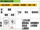 【期末精讲课件】人教版(2019) 生物必修1高一备考复习课件-第6章 细胞的生命历程