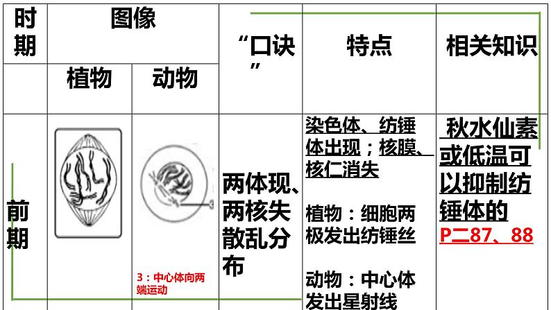 【期末精讲课件】人教版(2019) 生物必修1高一备考复习课件-第6章 细胞的生命历程05