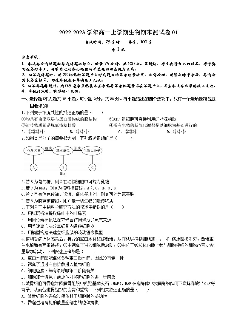 【期末考点复习】人教版(2019)生物必修1 高一上学期期末备考-期末模拟卷01（考试版）第1页