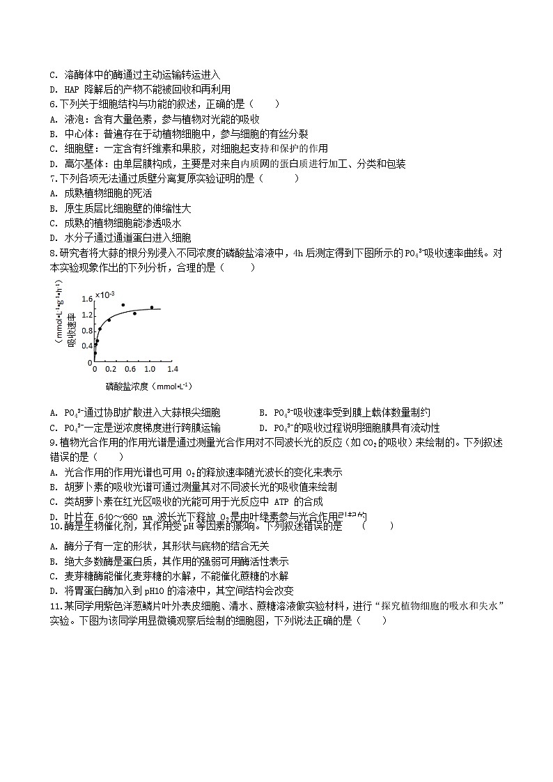 【期末考点复习】人教版(2019)生物必修1 高一上学期期末备考-期末模拟卷01（考试版）第2页