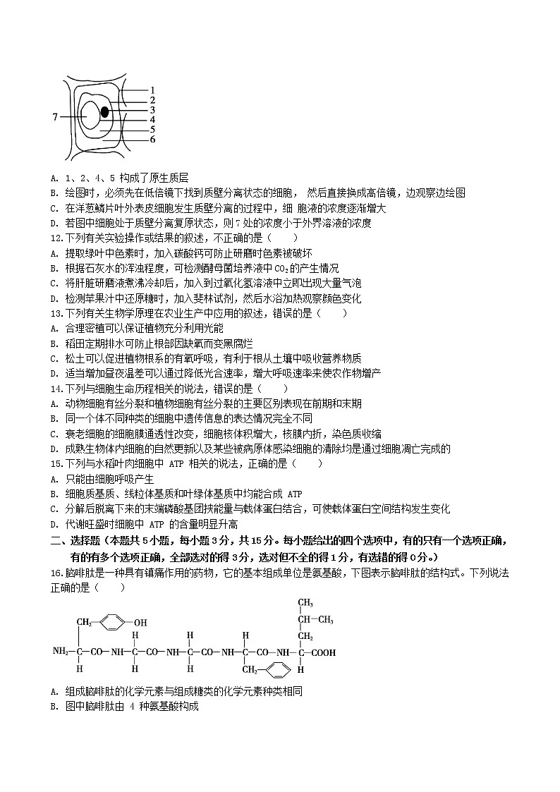 【期末考点复习】人教版(2019)生物必修1 高一上学期期末备考-期末模拟卷01（考试版）第3页