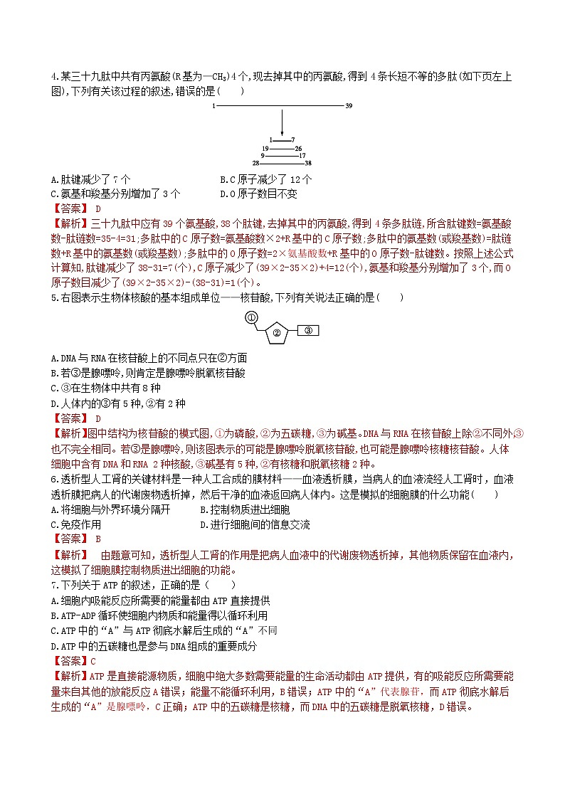 【期末考点复习】人教版(2019)生物必修1 高一上学期期末备考-期末模拟卷0202