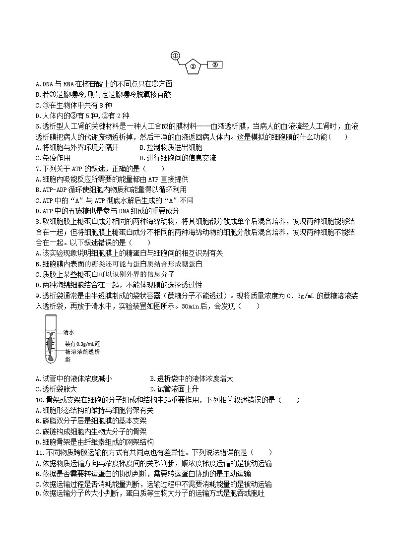 【期末考点复习】人教版(2019)生物必修1 高一上学期期末备考-期末模拟卷0202