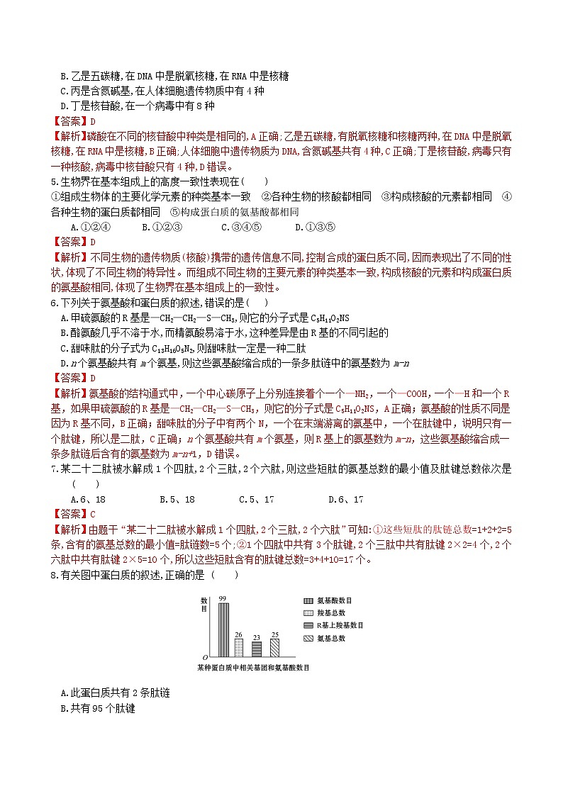 【期末考点复习】人教版(2019)生物必修1 高一上学期期末备考-考点03 蛋白质和核酸（解析版）第2页